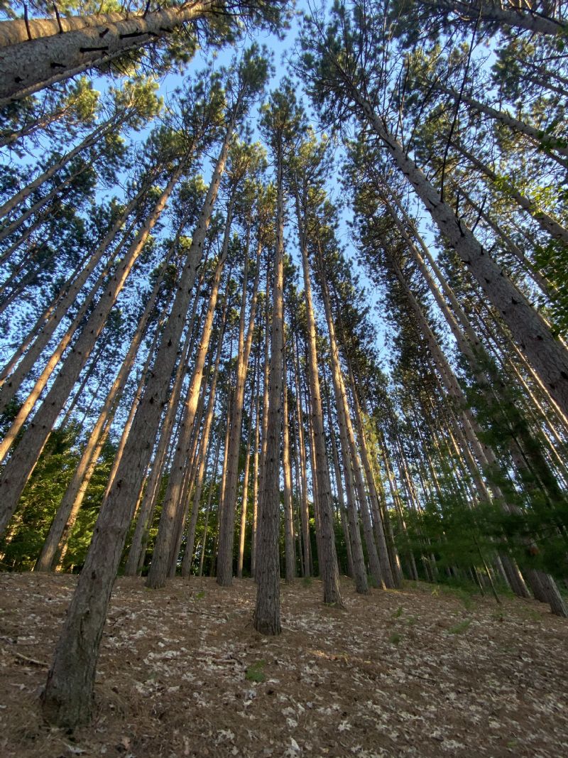 What Happened At The Front Door